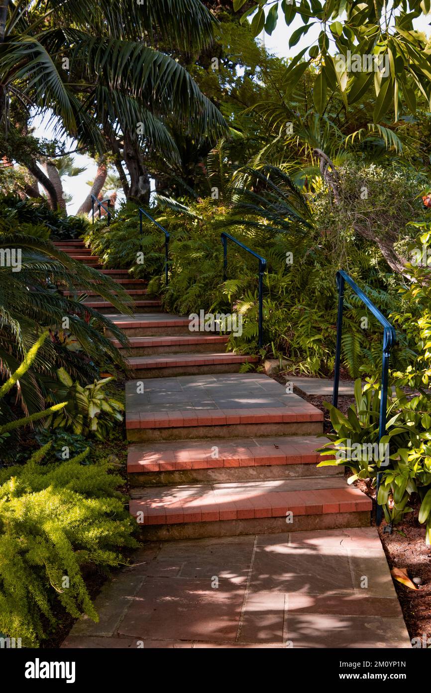 Vertikaler Blick auf Treppen und Pfad durch üppiges Grün in einem tropischen Garten, der das Thema des Wellnessbereichs darstellt Stockfoto