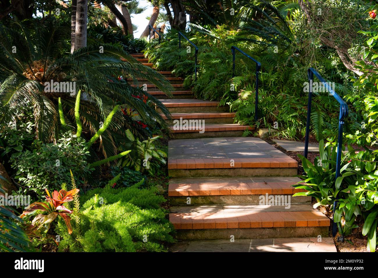 Treppen und Wege, die sich durch üppiges grünes Laub in einem tropischen Garten schlängeln und das Thema des Wohlbefindens darstellen Stockfoto