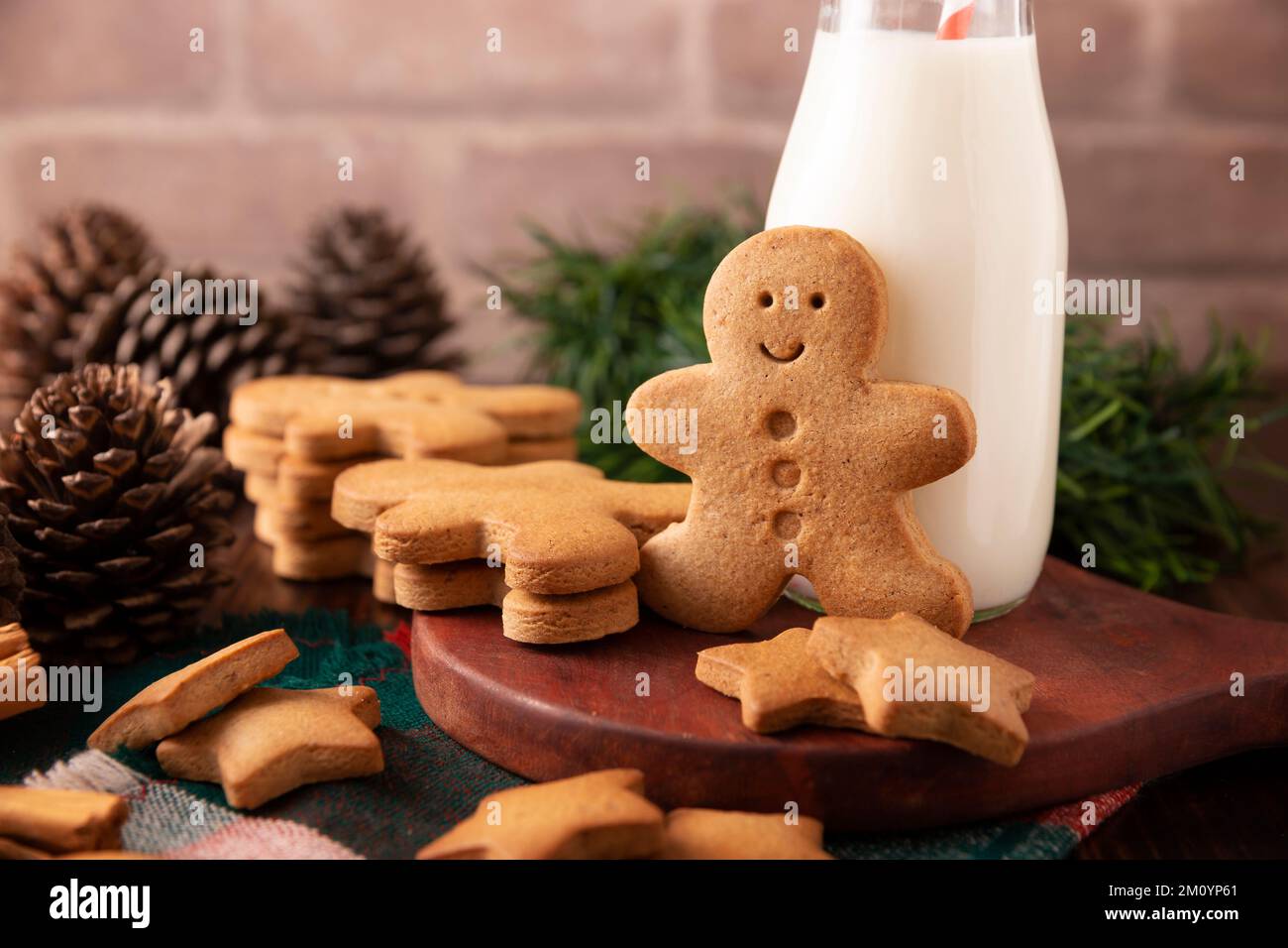 Hausgemachte Lebkuchenkekse, traditionell zu Weihnachten und den Feiertagen hergestellt. Stockfoto