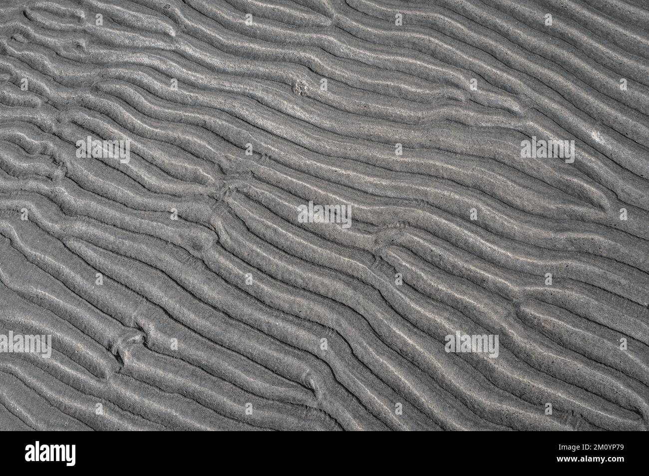 Strukturiertes Muster auf einer Sandoberfläche entlang der Küste. Stockfoto