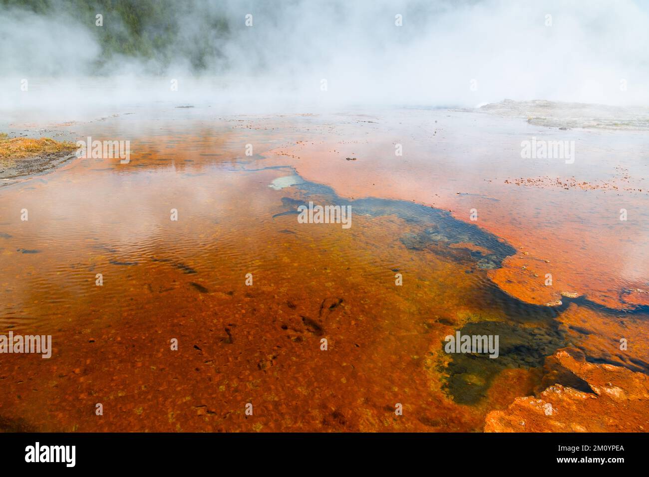 Blick auf Firehole Lake und orangefarbenen Seegrund im Yellowstone-Nationalpark Stockfoto