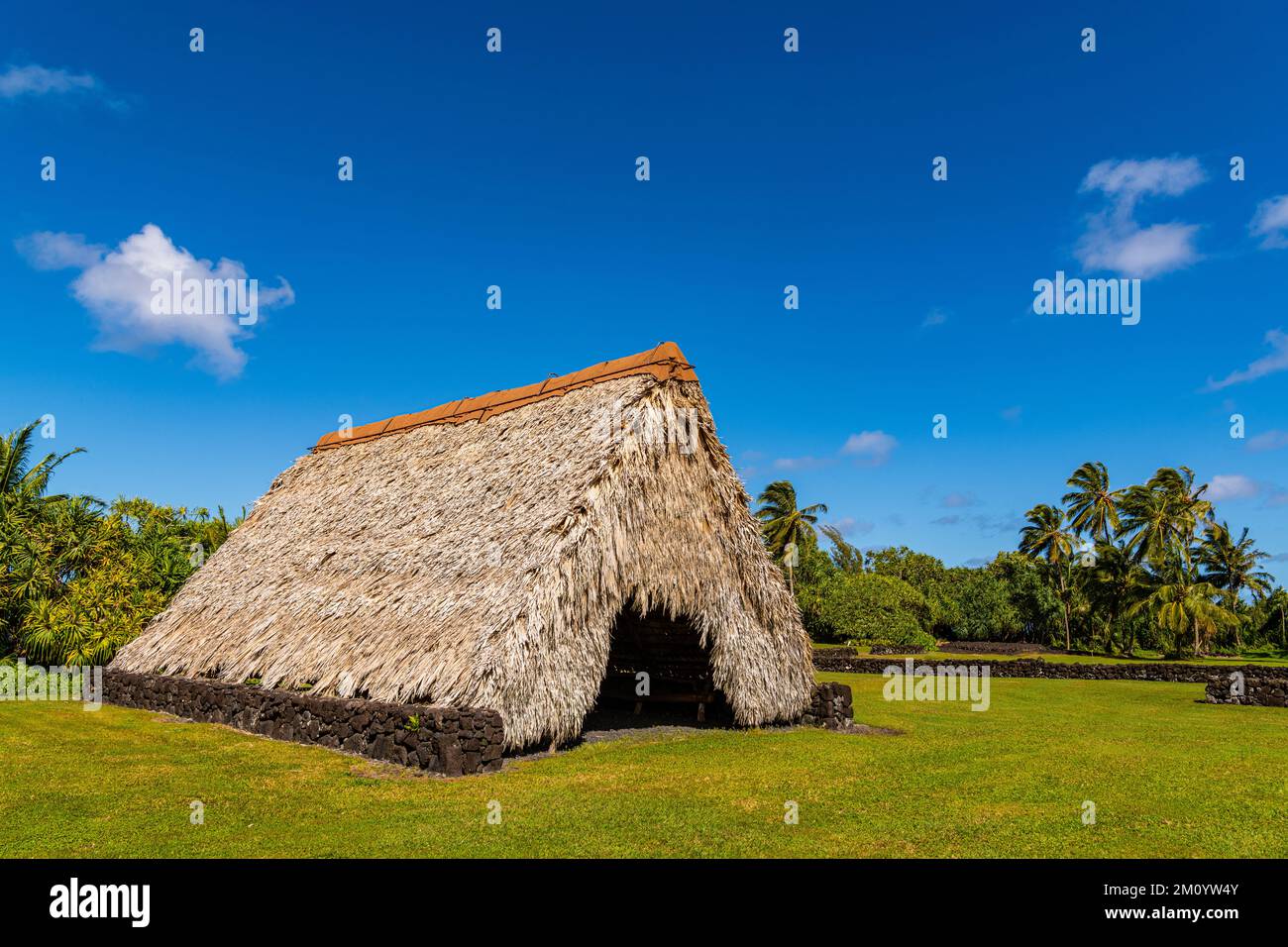 Traditionelles hawaiianisches Strohdach und Palmen im Kahanu Garden, Hana, Maui Stockfoto