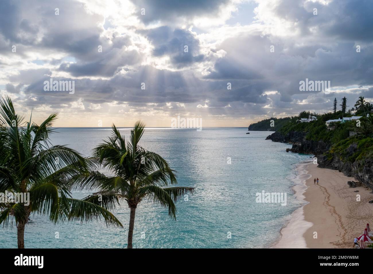 Ein Luftblick auf den Meeresstrand, umgeben von wachsenden Palmen Stockfoto