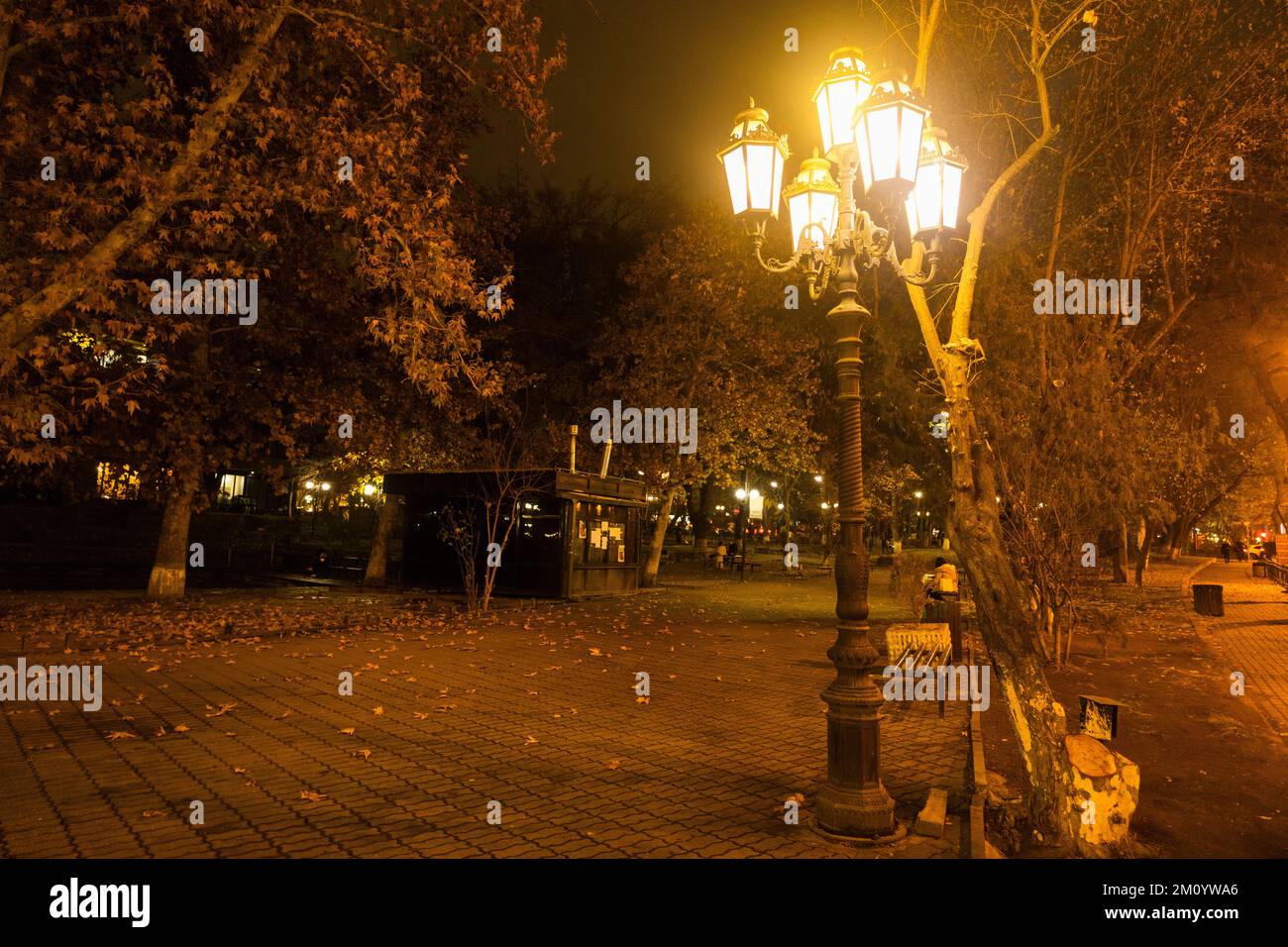 Hell beleuchtete Straßenlaterne in einem Abendpark. Lichtmast mit vielen Lampen. Stockfoto