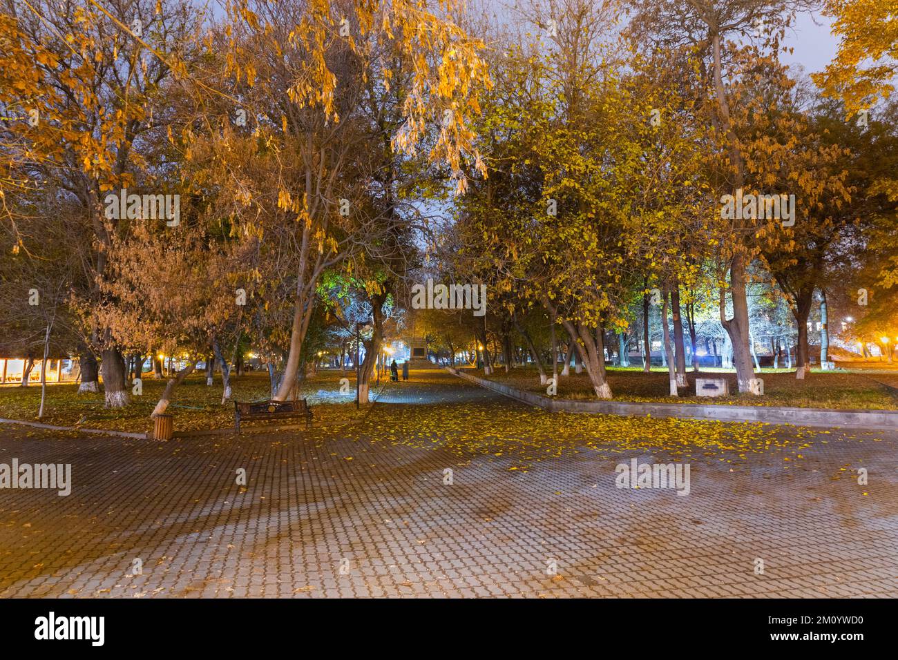 Fast leerer Park am Winterabend. Bäume mit gelber Blattfarbe beleuchtet mit bunter Beleuchtung. Stockfoto