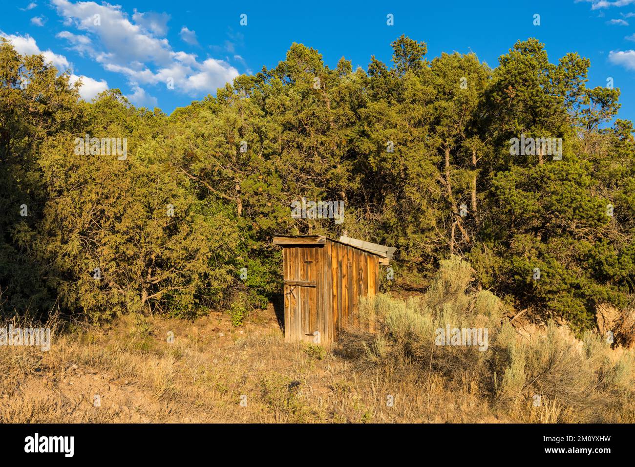 Rustikales, altmodisches hölzernes Klo auf einem Feld im ländlichen New Mexico Stockfoto