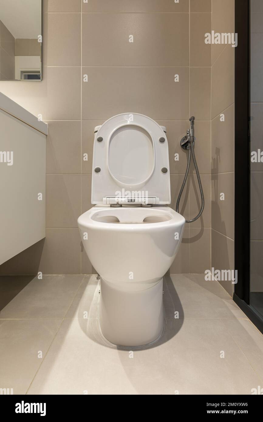 Erhöhter Toilettensitz und Bidet-Dusche mit Wandhalterung im modernen Badezimmer Stockfoto