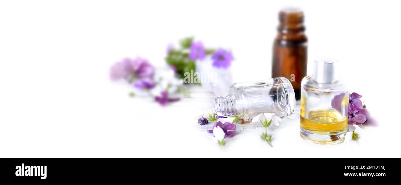 Flaschen mit ätherischem Öl und farbenfrohen Blütenblättern auf weißem Panoramadruck Stockfoto