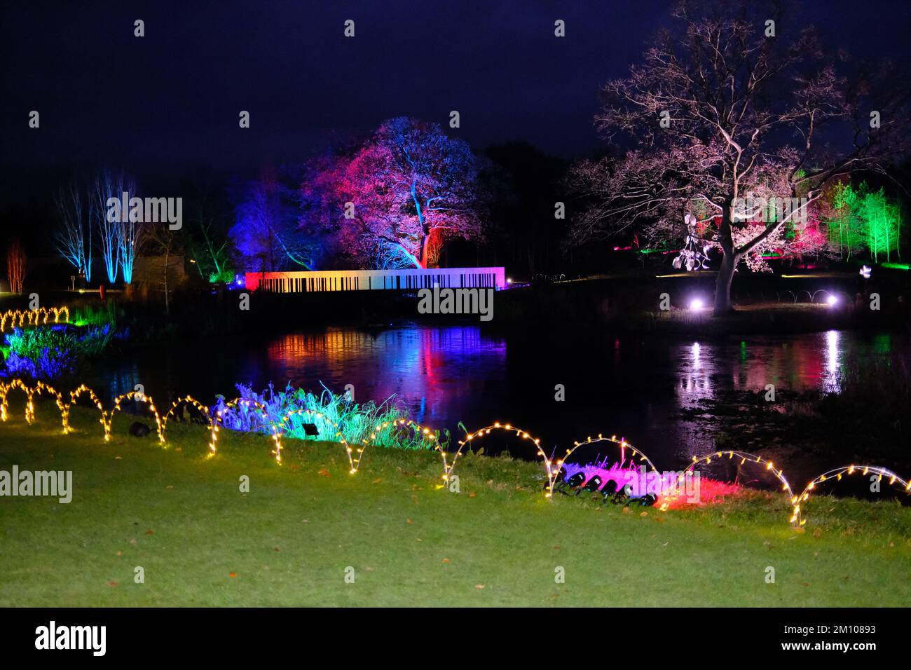 The Glow, Winter Illuminations, RHS Harlow Carr Gardens, Harrogate 2022 Stockfoto