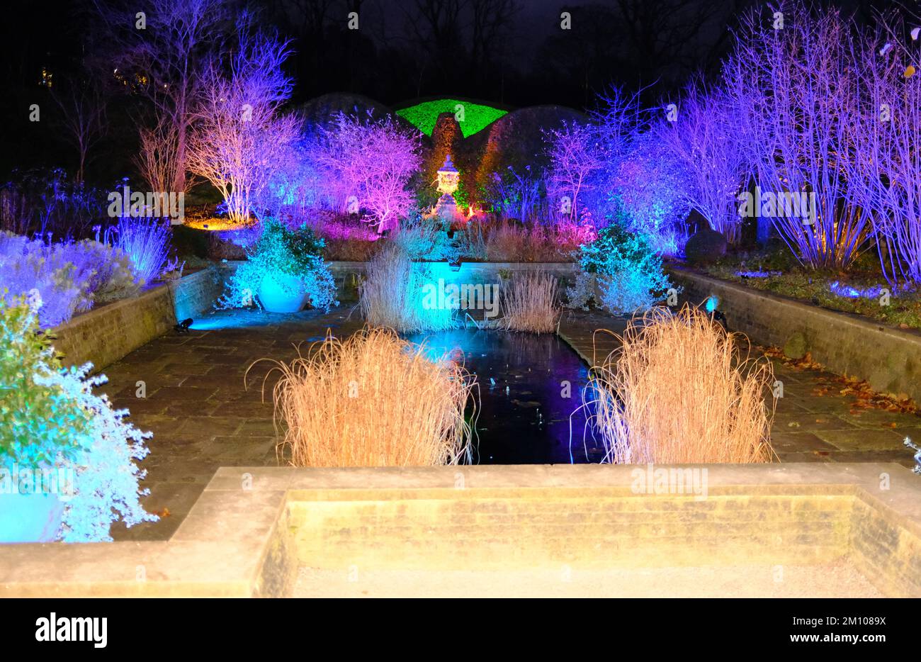 The Glow, Winter Illuminations, RHS Harlow Carr Gardens, Harrogate 2022 Stockfoto