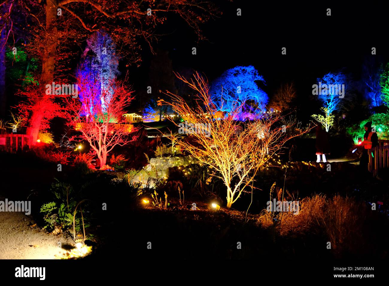 The Glow, Winter Illuminations, RHS Harlow Carr Gardens, Harrogate 2022 Stockfoto