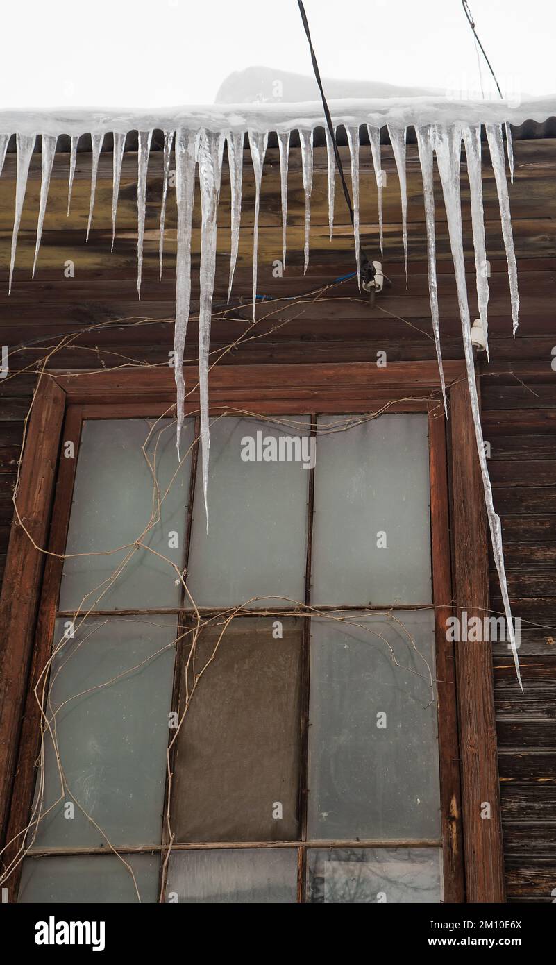 Vereiste, gefährliche Eiszapfen hängen am Dachrand, im Winter oder Frühling. Wand eines alten Holzhauses mit Fenstern. Große Eiszapfen in glatten, schönen Reihen. Bewölkter Wintertag, weiches Licht. Stockfoto