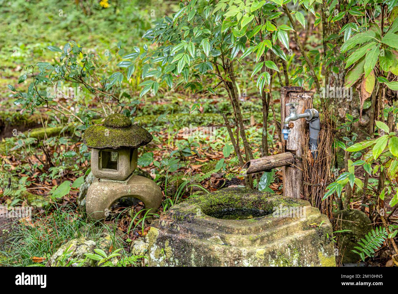 Eine antike Bambuswasserleitung und ein moderner Metallwasserhahn in einem japanischen Garten in Kamakura, Japan Stockfoto