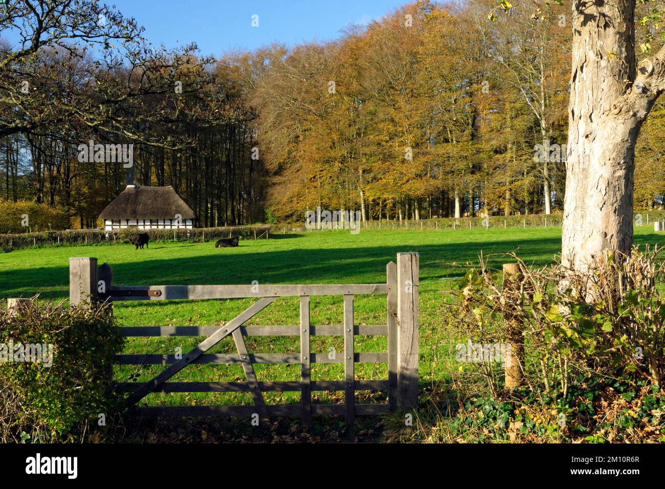 Abernodwydd Farmhouse, St Fagans National Museum of History/Amgueddfa Werin Cymru, Cardiff, South Wales, Großbritannien. Stockfoto