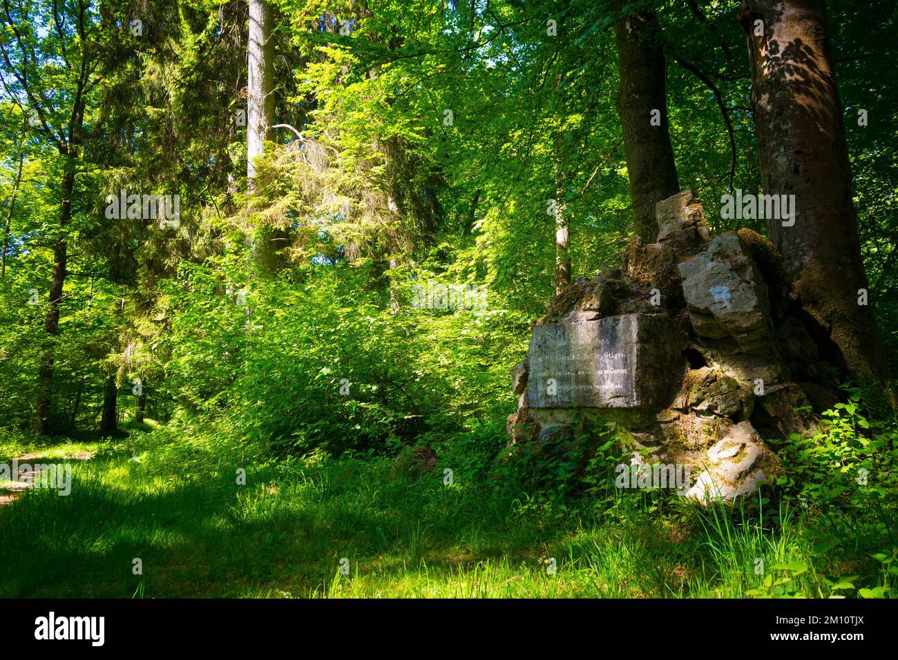 Houyet, Belgien, Mai 2022: Blick auf Tombe Du Loup in bois de Sonmont Stockfoto