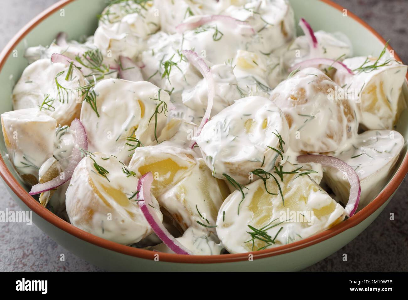 Fransk Potatissallad Neuer Kartoffelsalat mit Gurken, Dill und roten Zwiebeln mit cremefarbenem Dressing Nahaufnahme auf einem Teller auf dem Tisch. Horizontal Stockfoto