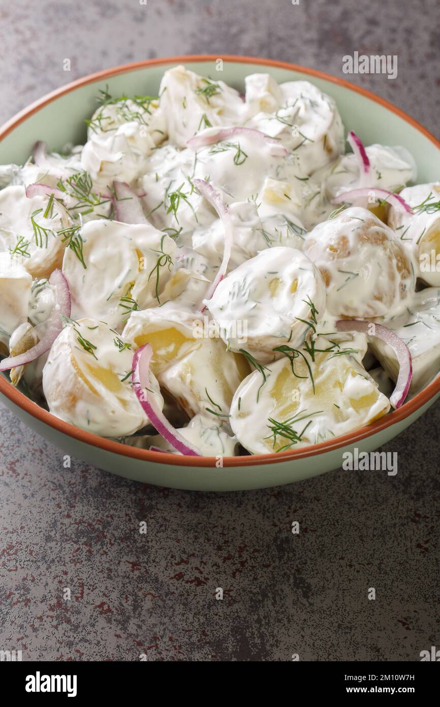 Schwedischer Kartoffelsalat mit Gurken, Dill und roten Zwiebeln gewürzt mit Sauerrahm, Nahaufnahme auf einem Teller auf dem Tisch. Vertikal Stockfoto