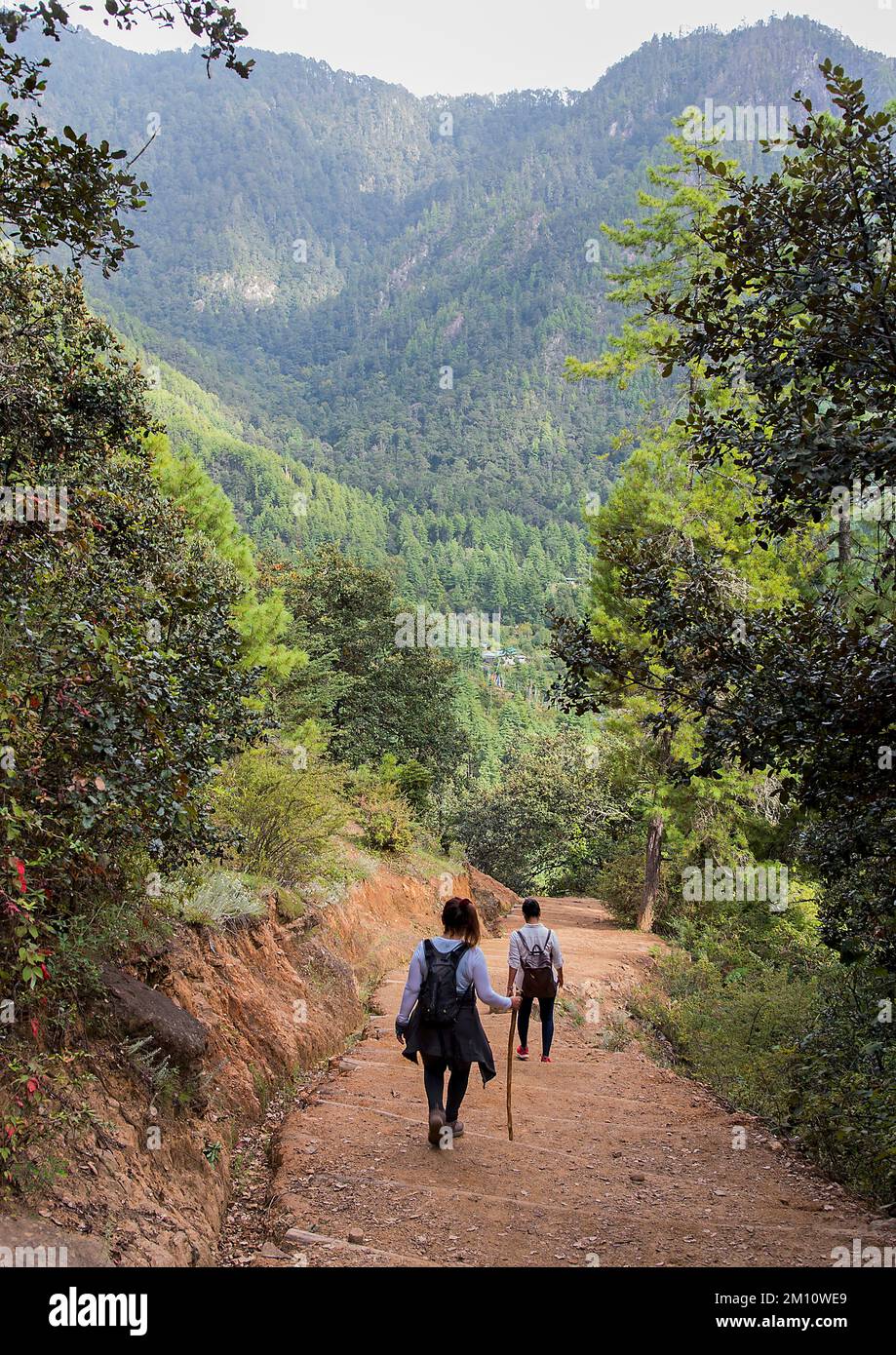 Touristen wandern auf dem Trans Bhutan Trail Stockfoto