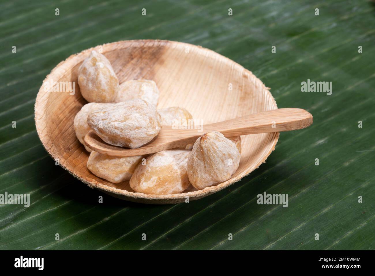 Aleurites moluccanus oder indonesische Kerzen namens Kemiri. Stockfoto