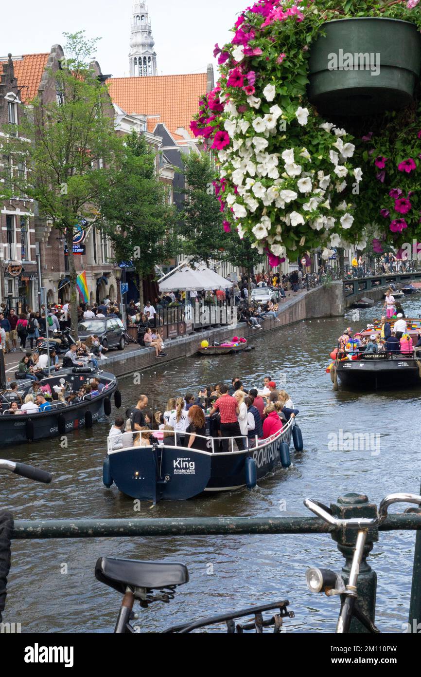 Berühmte amstel-Kanal-Touristikszene mit Sprottenblumen und Touristen Stockfoto