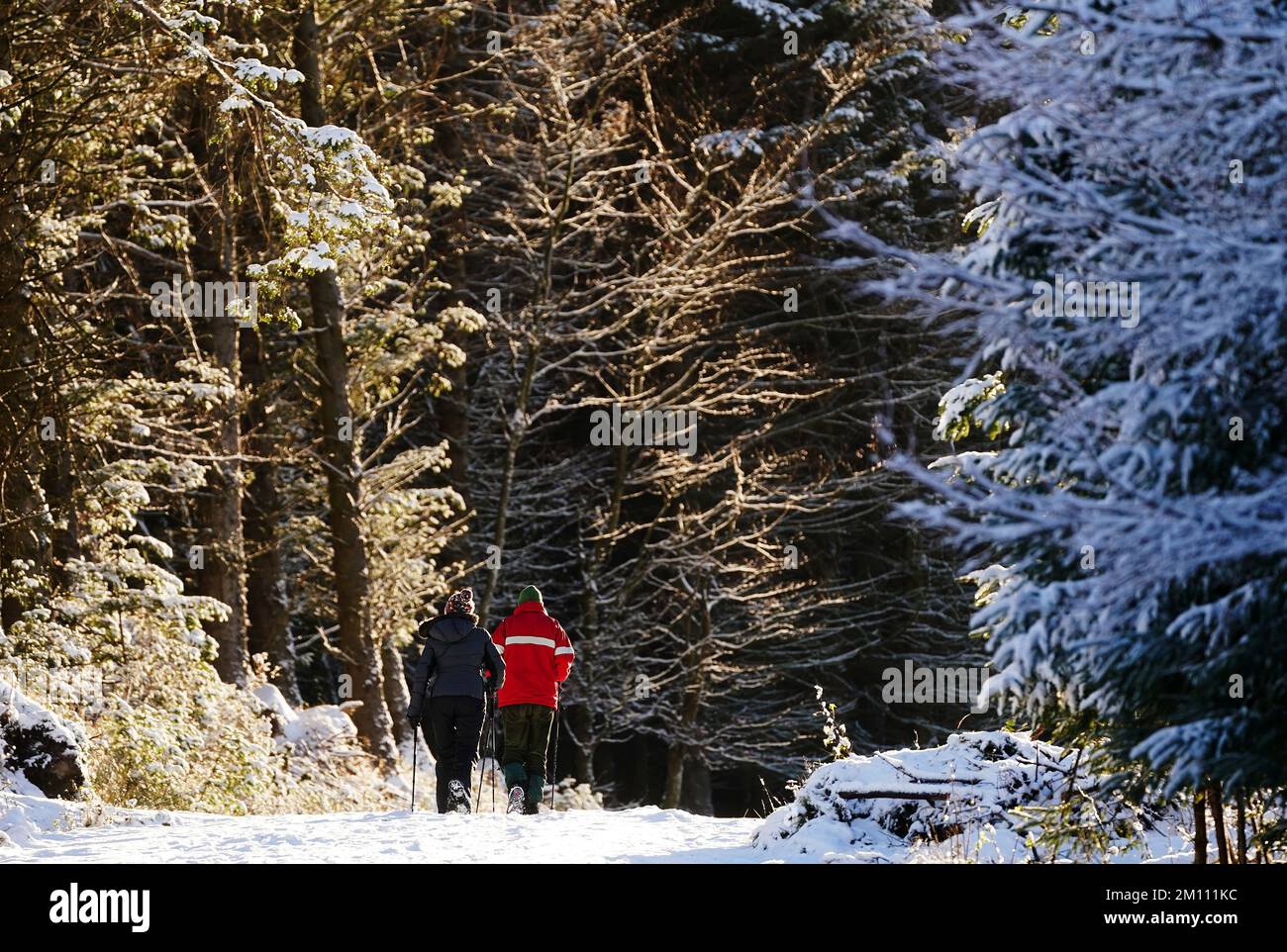 Die Leute laufen auf einem schneebedeckten Pfad im Ticknock-Wald, Dublin. Teile Irlands wurden mit Schnee überdeckt, und die Wetterbeobachter warnten, dass die Frostbedingungen anhalten werden. Foto: Freitag, 9. Dezember 2022. Stockfoto