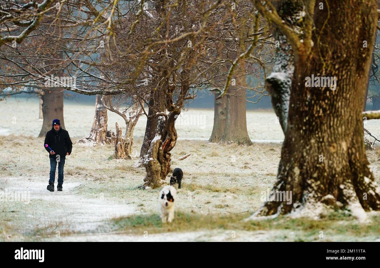 Ein Mann geht mit seinen Hunden durch Schnee und Eis im Phoenix Park von Dublin. Teile Irlands wurden mit Schnee überdeckt, und die Wetterbeobachter warnten, dass die Frostbedingungen anhalten werden. Foto: Freitag, 9. Dezember 2022. Stockfoto