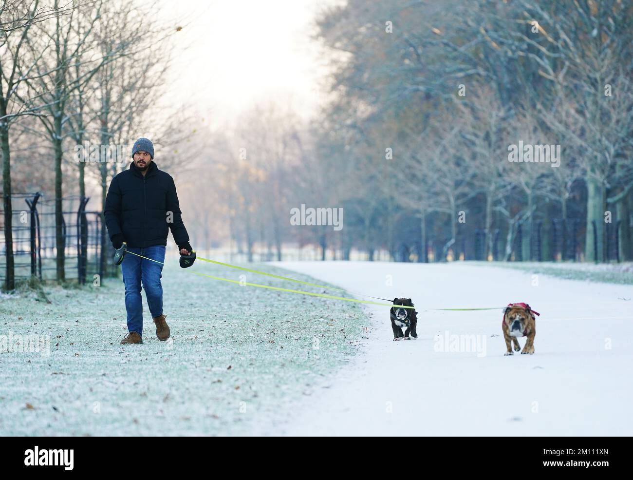 Ein Mann geht mit seinen britischen Bulldoggen in einem schneebedeckten Phoenix Park in Dublin spazieren. Teile Irlands wurden mit Schnee überdeckt, und die Wetterbeobachter warnten, dass die Frostbedingungen anhalten werden. Foto: Freitag, 9. Dezember 2022. Stockfoto