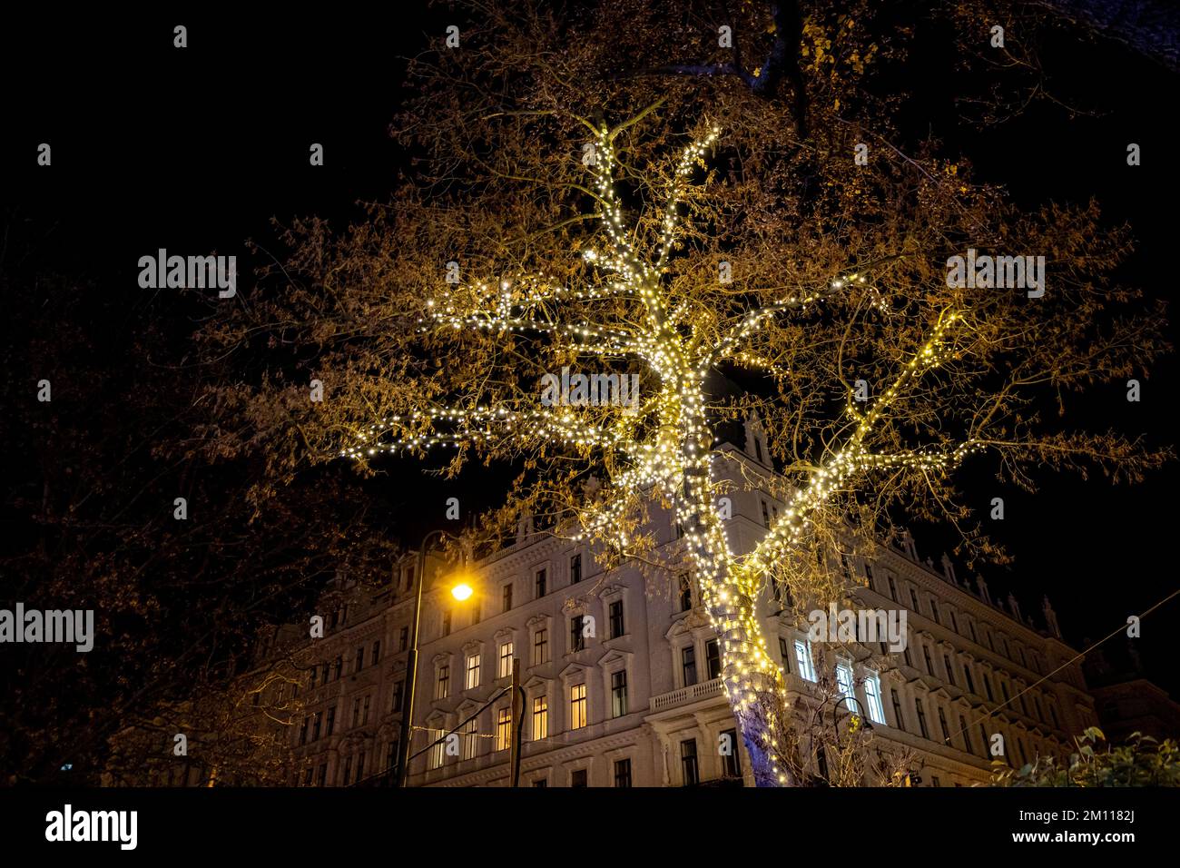 Mit Weihnachtslichtern verzierter Baum in Wien. Weihnachtsdekorationen und Lichter der Stadt Wien in Osterreich. Stockfoto