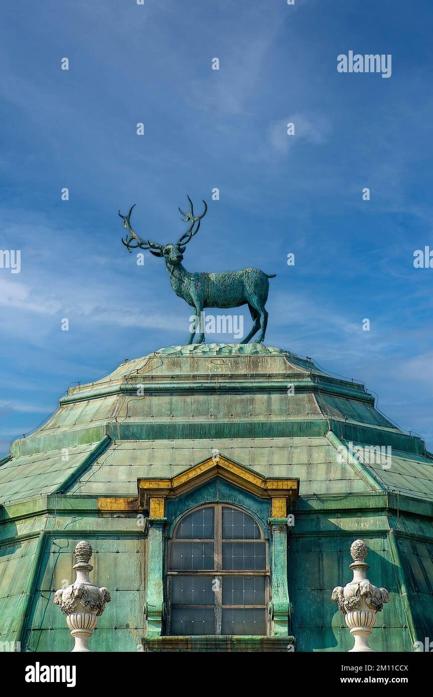 Italien Piedmont Stupinigi Palazzina di caccia - Königliches Schloss Savoyen - Hirsch Stockfoto