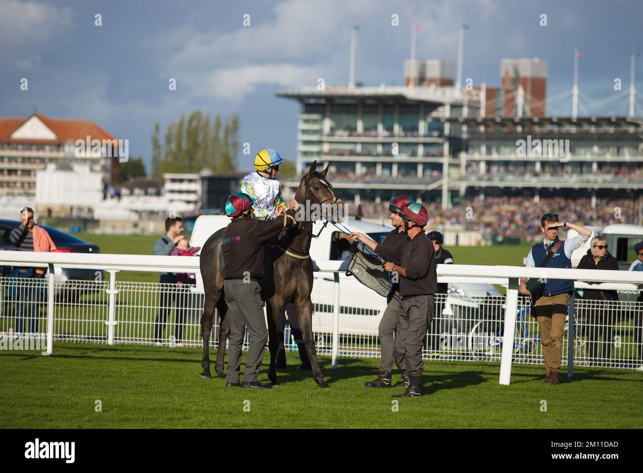 Jockey Andrew Mullen wartet vor einem Rennen, während die Rennbahn versucht, Big Bad Wolf zu beruhigen. Stockfoto