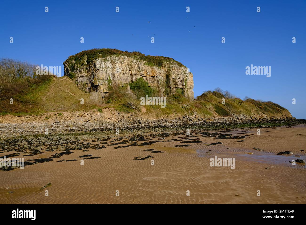 Cliff and Beach in Red Wharf Bay, Anglesey Stockfoto