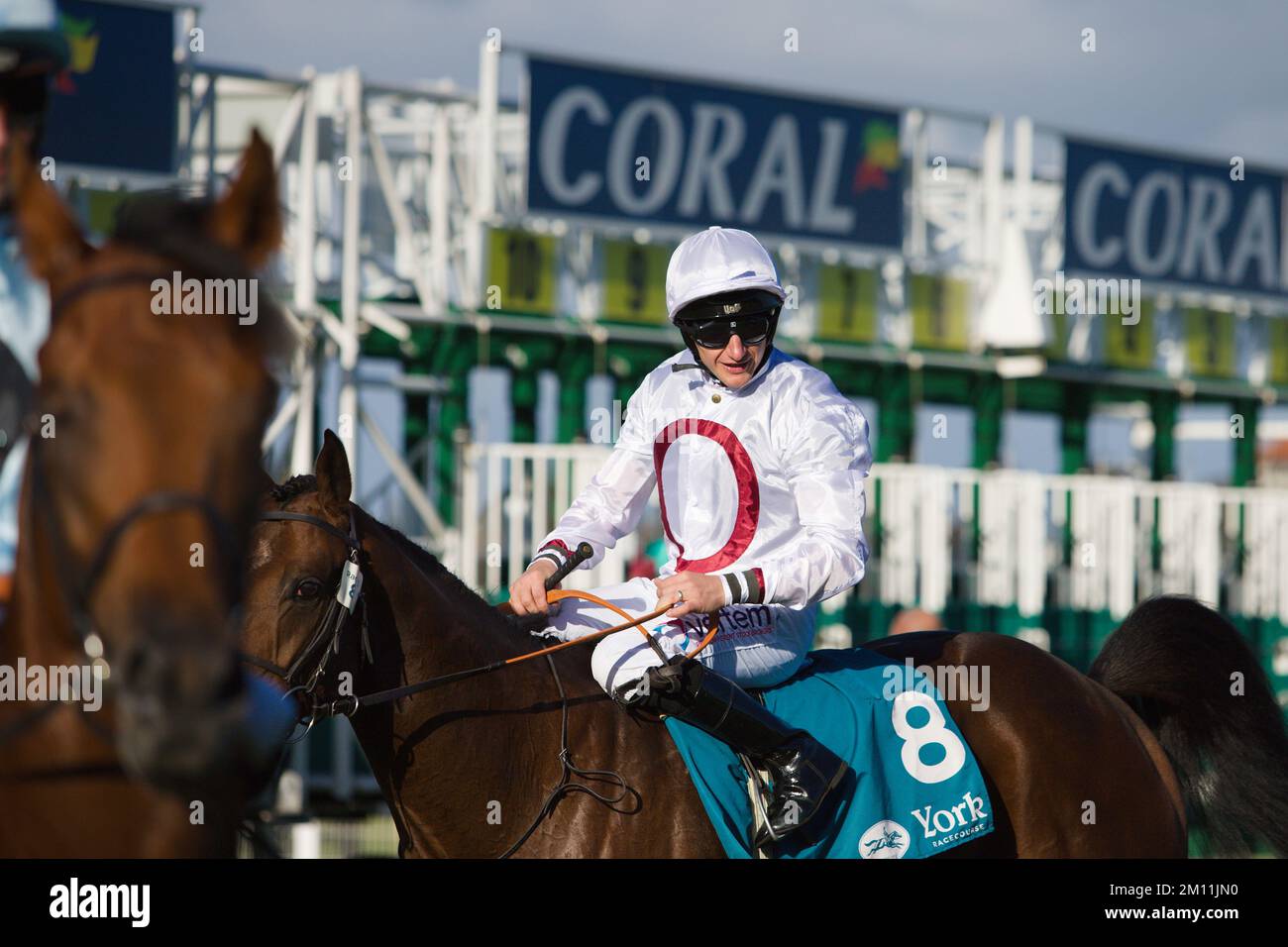 Jockey PJ McDonald auf Kadovar bei York Races. Stockfoto