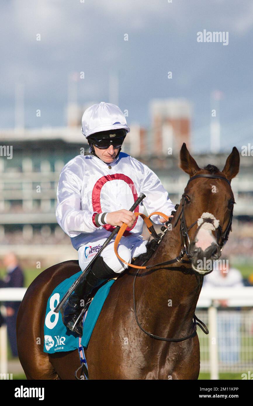 Jockey PJ McDonald auf Kadovar bei York Races. Stockfoto