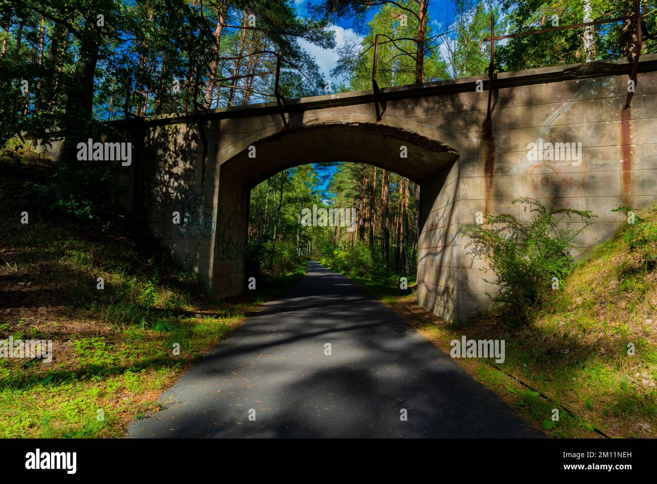Radweg im Wald, alte Eisenbahnbrücke einer Schmalspurbahn Stockfoto
