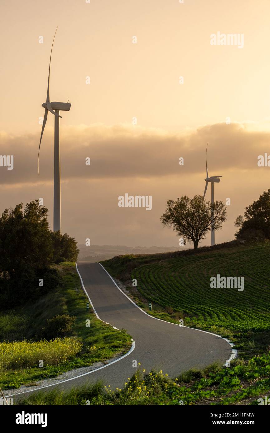 Straße auf landwirtschaftlichen Feldern mit Windkraftanlagen zur Erzeugung sauberer Elektrizität in Katalonien Spanien Stockfoto