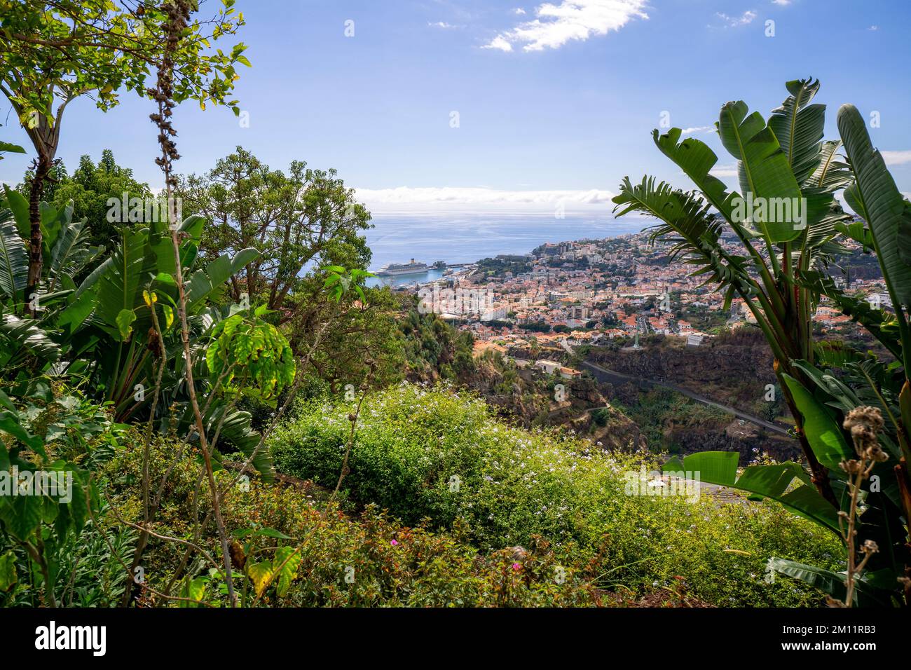 Blick auf Funchal auf Madeira vom botanischen Garten Stockfoto