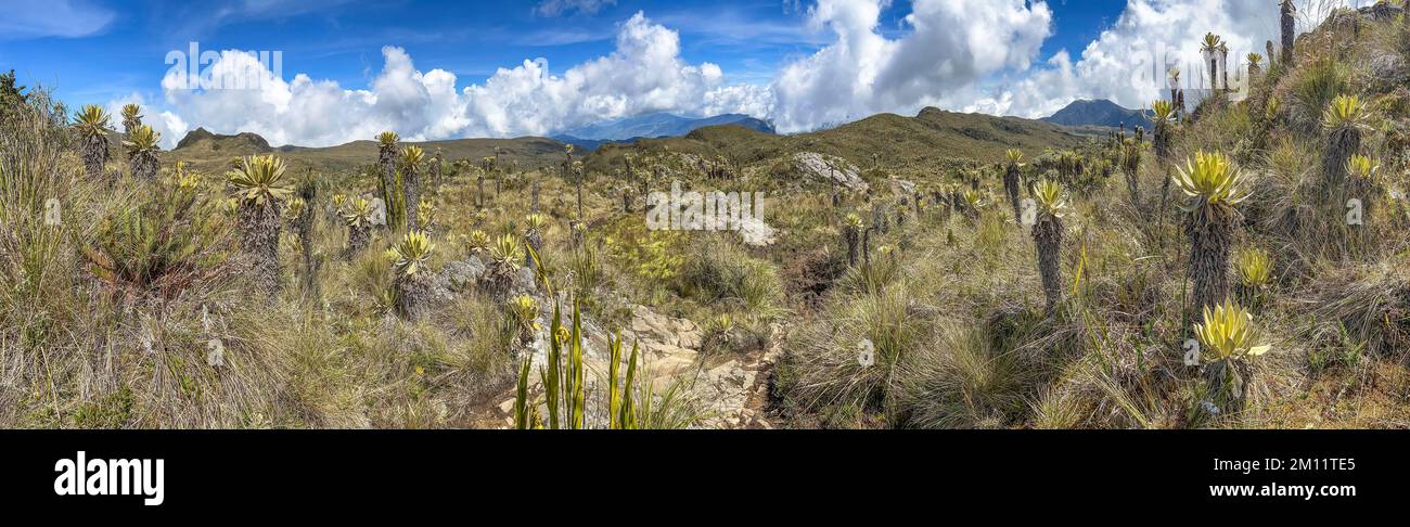Südamerika, Kolumbien, Departement Antioquia, kolumbianische Anden, Urrao, Berglandschaft am ramo del Sol Stockfoto