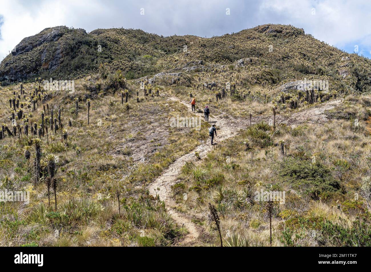 Aufstiegsweg nach alto de campanas -Fotos und -Bildmaterial in hoher ...