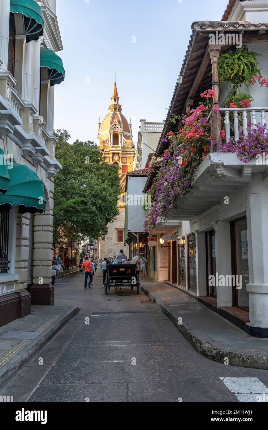 Südamerika, Kolumbien, Departamento de Bolívar, Cartagena de Indias, Ciudad Amurallada, Blick auf den Turm der Kathedrale Santa Catalina de Alejandría Stockfoto