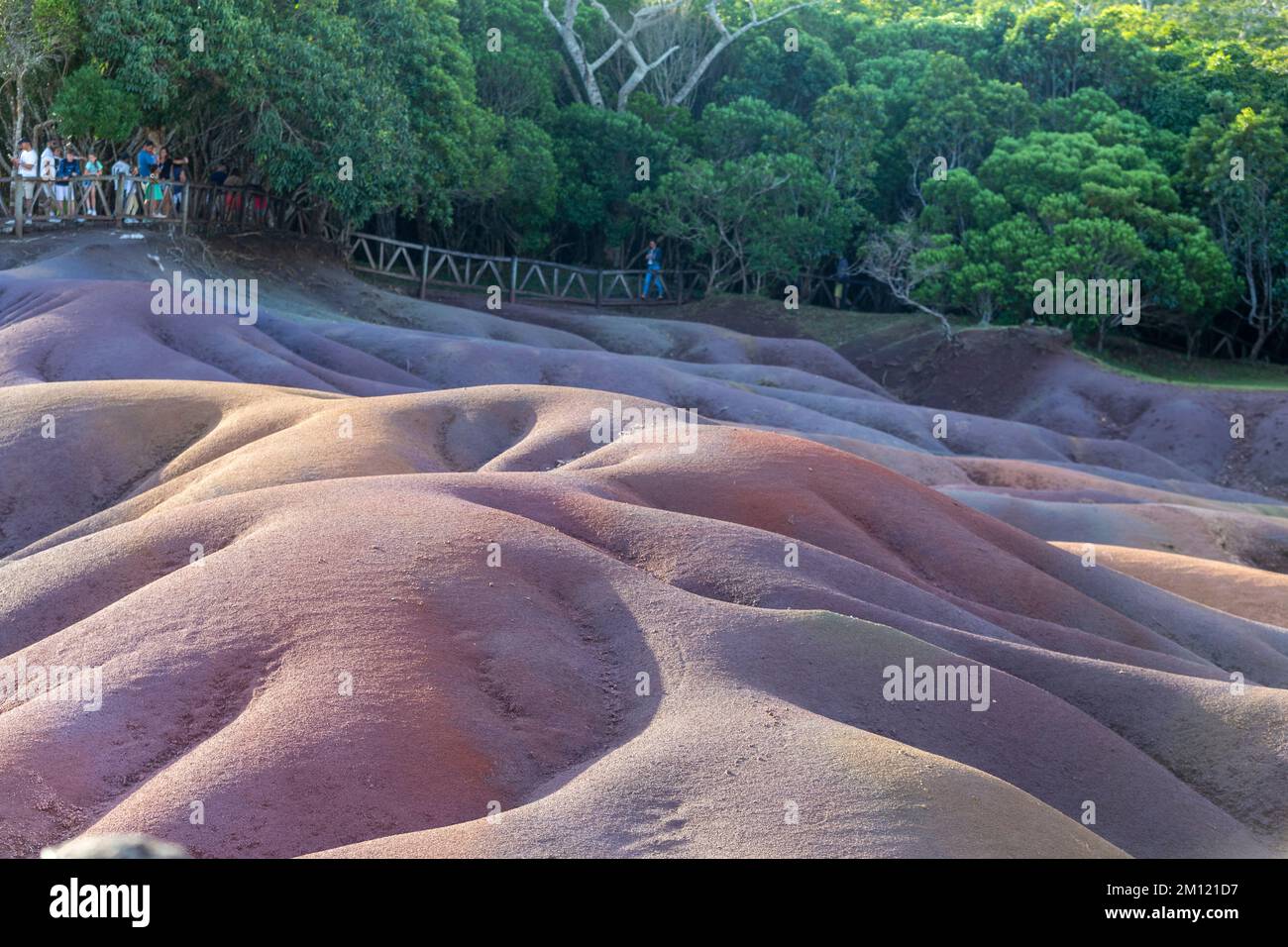 Eine der Attraktionen von Mauritius - einzigartige „gleichfarbige Erde“ in Chamarel, Black River Gorges National Park, Mauritius Island, Afrika Stockfoto