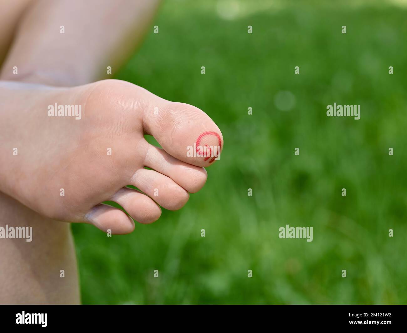 Barfußlaufen - Nahaufnahme der Frauenfüße mit Zone auf dem großen Zeh (Hallux) für Reflexzonenmassage Stockfoto