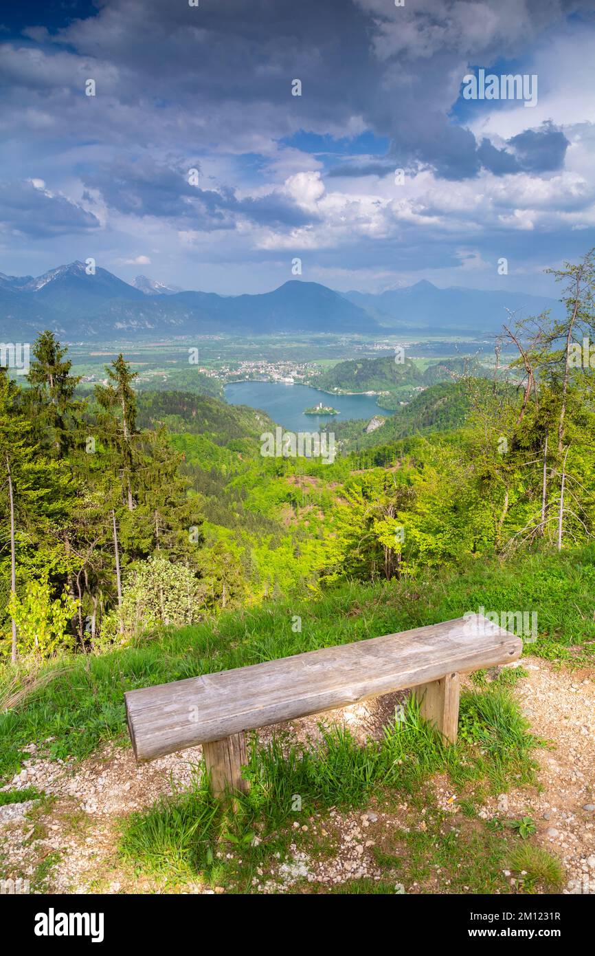 Erhöhte Aussicht auf den Bleder See. Bled, Oberkarniola, Slowenien. Stockfoto