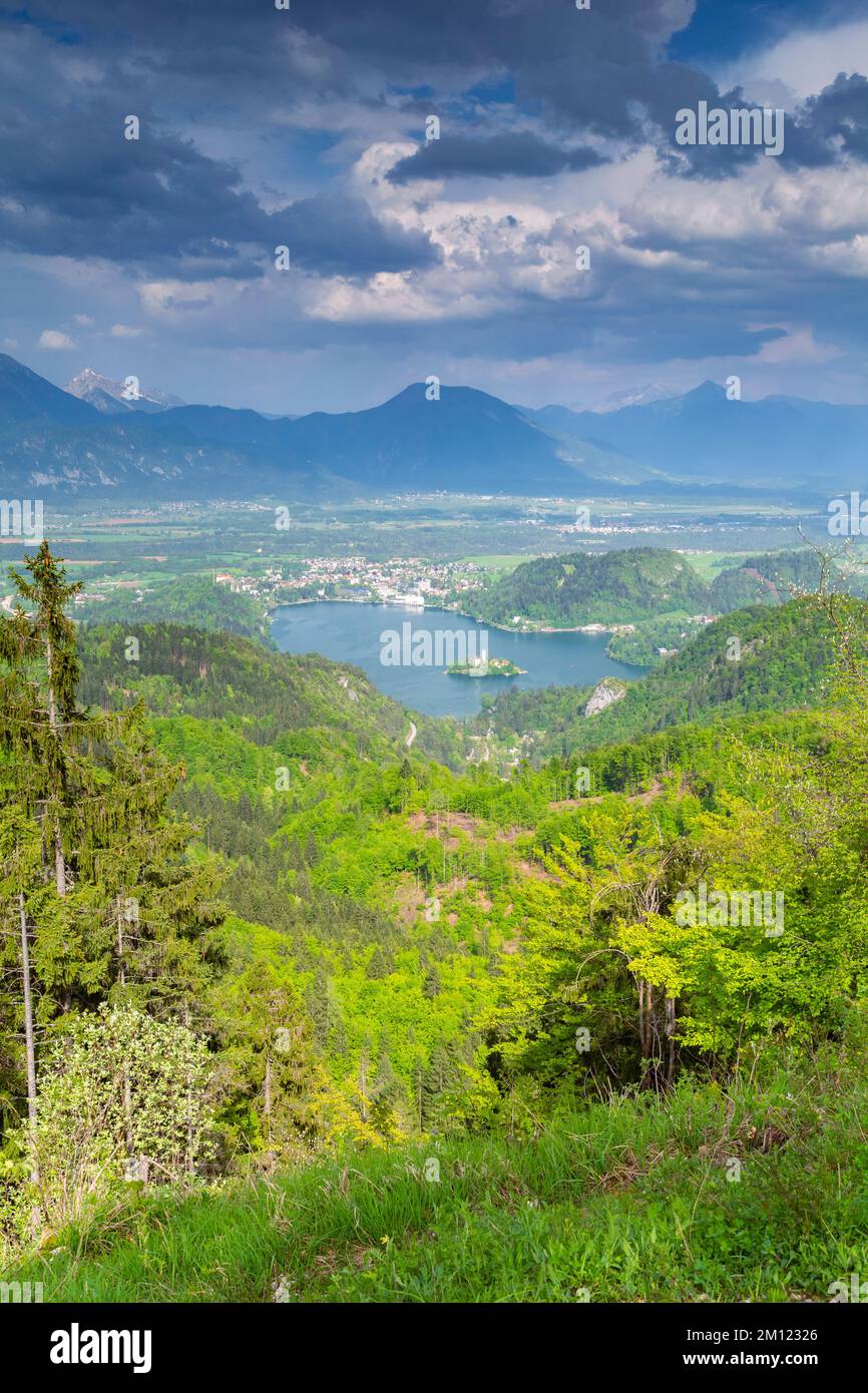 Erhöhte Aussicht auf den Bleder See. Bled, Oberkarniola, Slowenien. Stockfoto