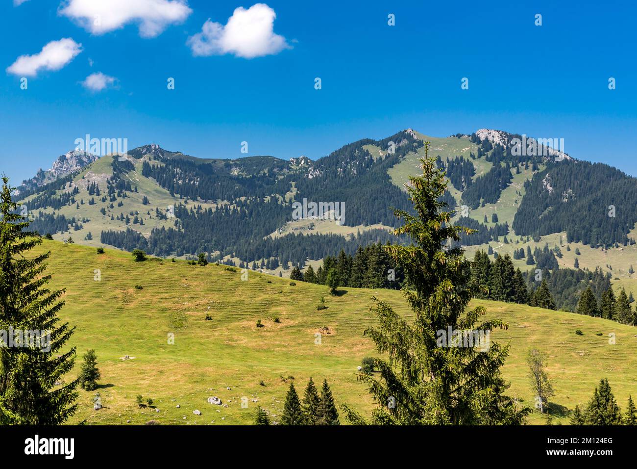 Berglandschaft, Wendelstein, 1838 m, Soinwand, 1756 m, Lacherspitze, 1724 m, Wildalpjoch, 1720 m, Gebiet Wendelstein, Bayrischzell, Mangfallgebirge, Oberbayern, Bayern, Deutschland, Europa Stockfoto