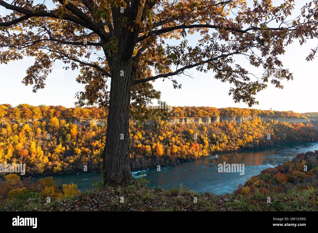 Kanada, Ontario, die Niagarafälle, die Niagara-Schlucht mit dem Niagara River im Herbst in vollen Herbstfarben Stockfoto