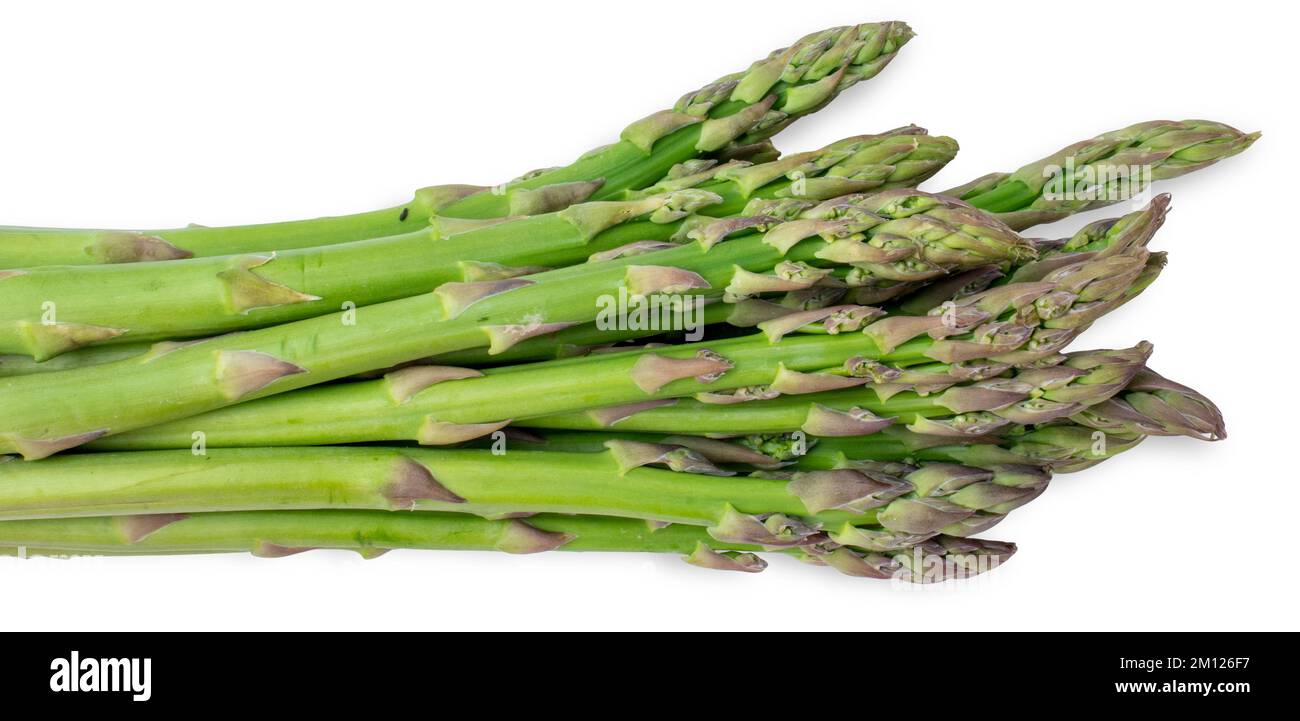 Grüner Spargel, isoliert auf weißem Hintergrund. Spargel officinalis, Sperlingsgras. Stockfoto