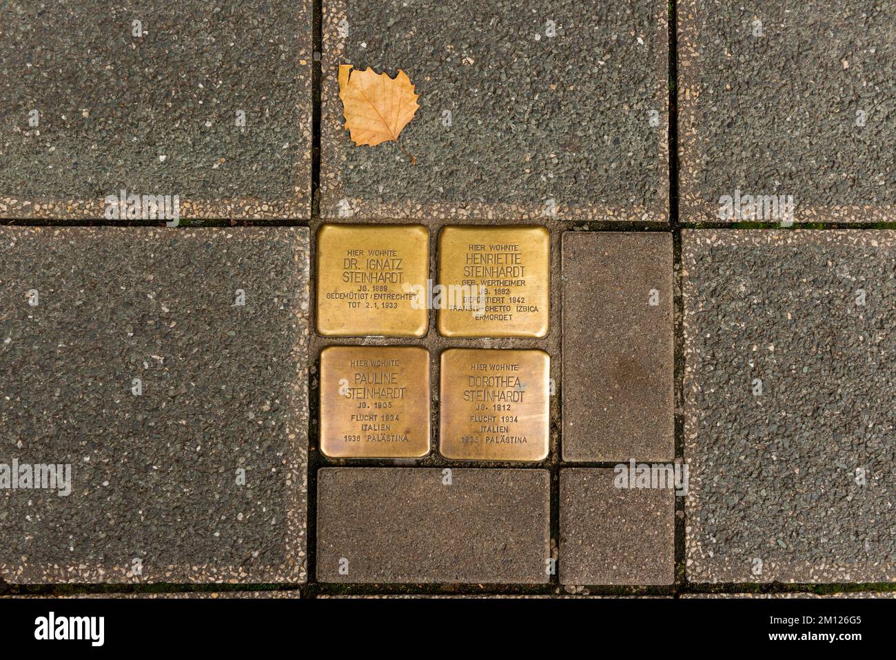 Stolperstein, Gedenktafel, Nürnberg, Kunstgegenstand, Straßenpflaster Stockfoto
