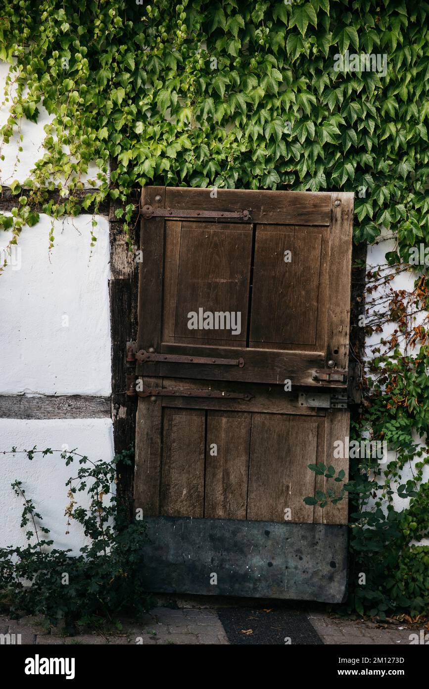 Schiefe Holztür auf einem überwucherten Fachwerkhaus in Deutschland Stockfoto