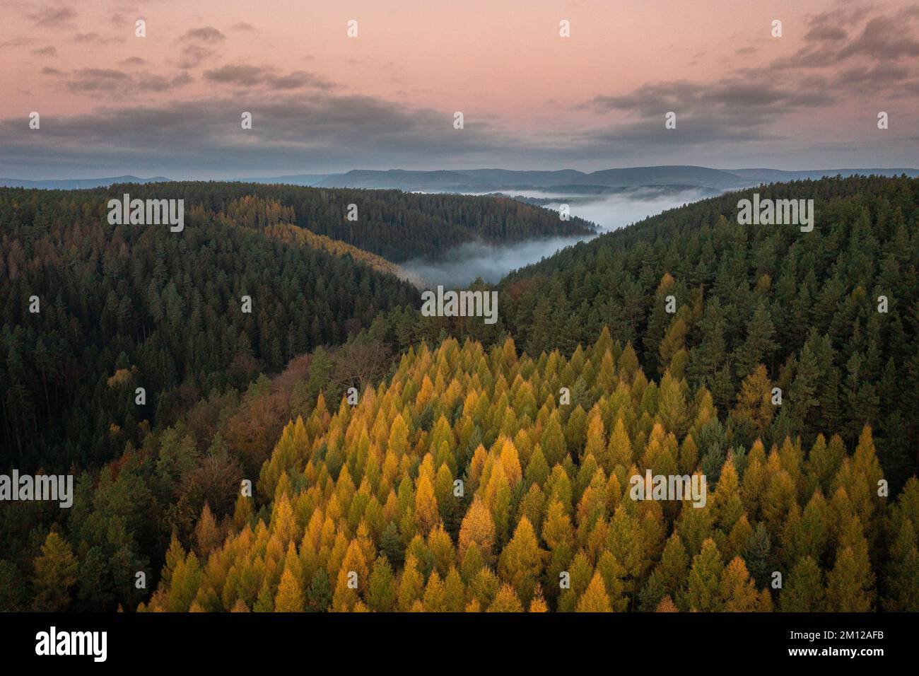 Direkt neben der Jagdhütte Rieseneck befindet sich der Herzogstuhl, ein kleiner, turmförmiger Vergnügungspalast. Stockfoto