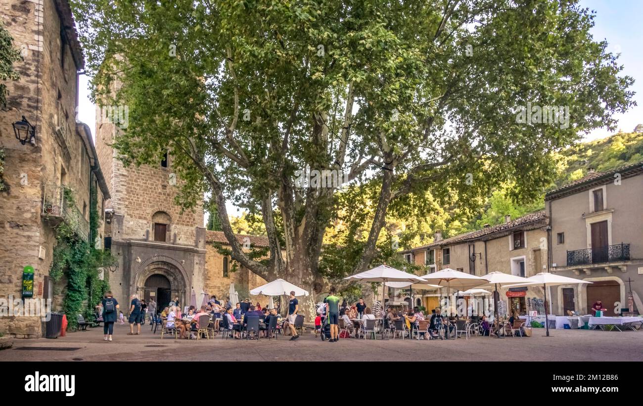 Place de la Liberté in Saint Guilhem le Désert. Der Baum ist mindestens 165 Jahre alt. Das Dorf wurde als UNESCO-Weltkulturerbe „Way of St. James in Frankreich. Das Dorf gehört zu den Plus Beaux-Dörfern von Frankreich. Das Dorf gehört zu den Plus Beaux-Dörfern von Frankreich. Stockfoto